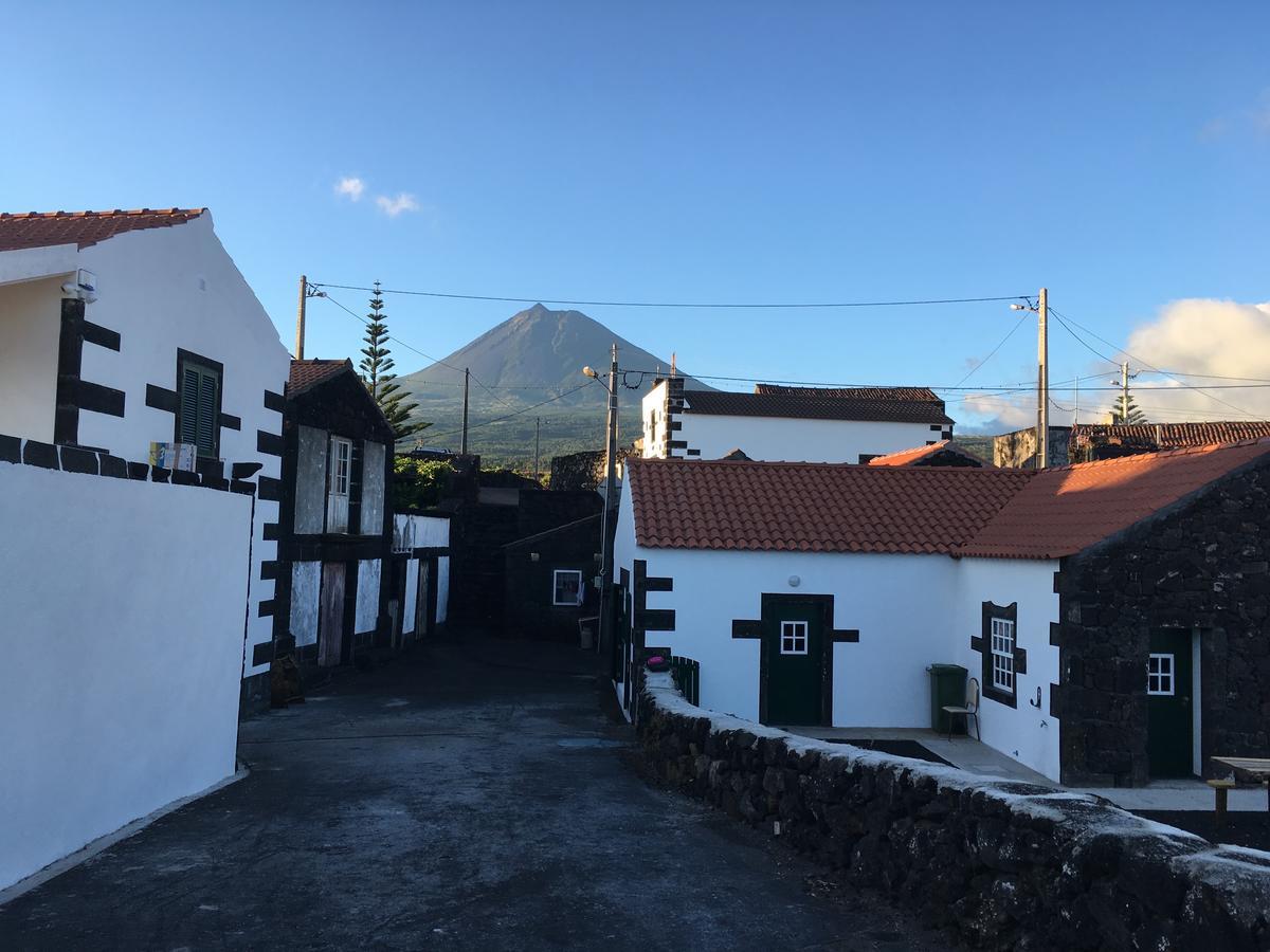 Casa Do Avo Cristiano Villa Madalena  Dış mekan fotoğraf